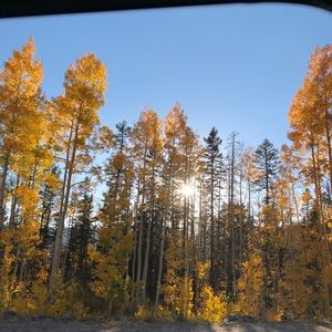 Meet your Posher, Rylee